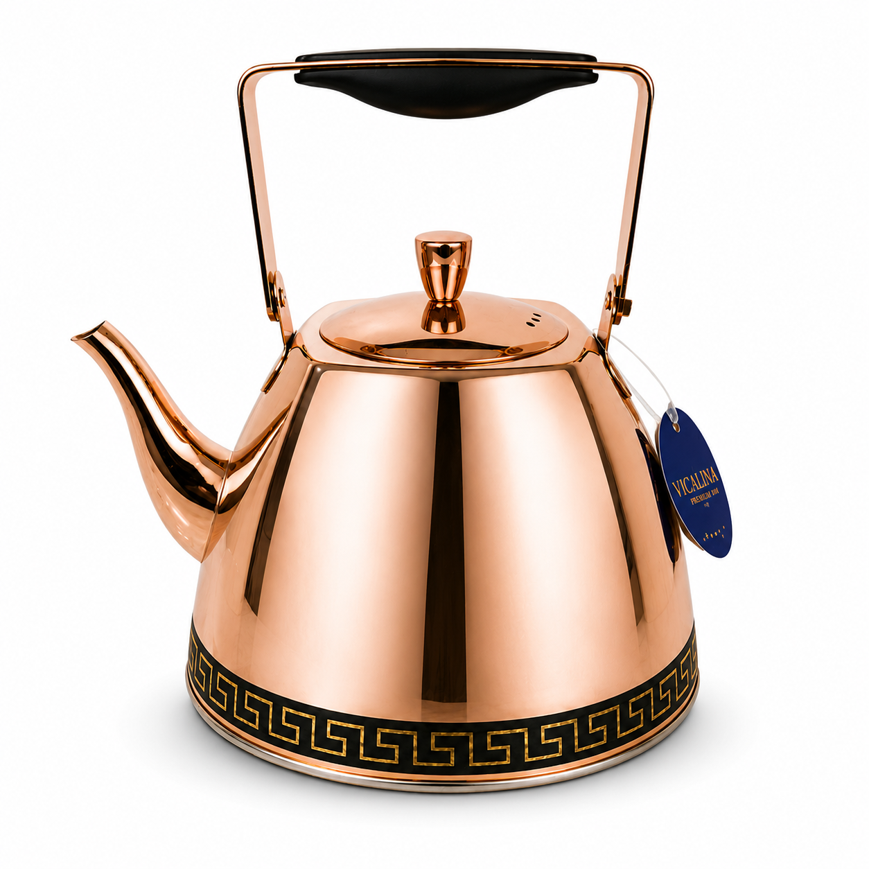 Kettles,D Tea Kettle with Removable Infuser, Coffee Tea Potiversal Base for Induction