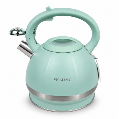 3.5L Stainless Steel Kettle with Unique Matt Green Design