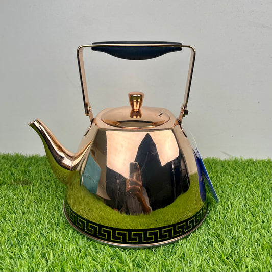 Kettles,D Tea Kettle with Removable Infuser, Coffee Tea Potiversal Base for Induction