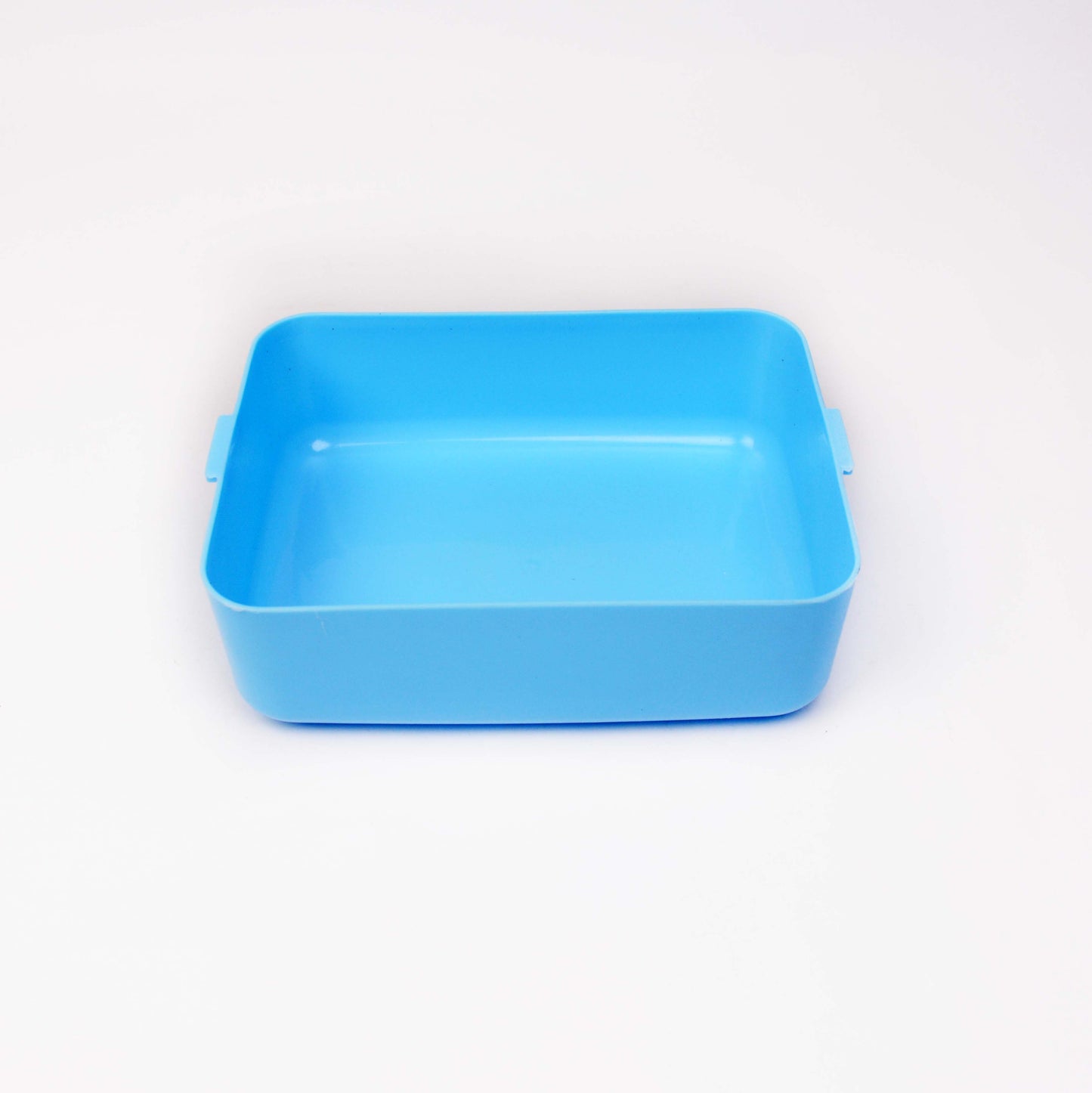 Frozen .3 Partitions Lunch box With Fog and Spoon