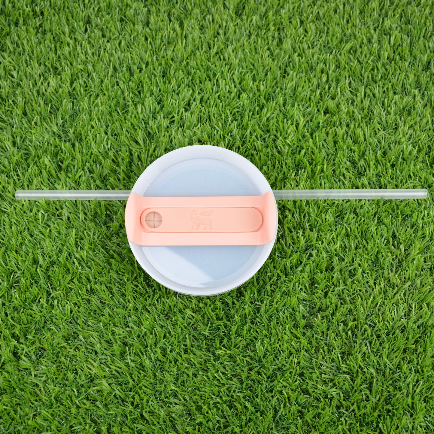 Stanley Cup Stainless Steel Vacuum Insulated Tumbler Ice Coffee Cup