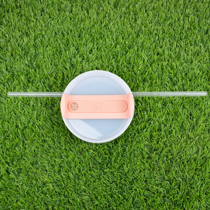 Stanley Cup Stainless Steel Vacuum Insulated Tumbler Ice Coffee Cup