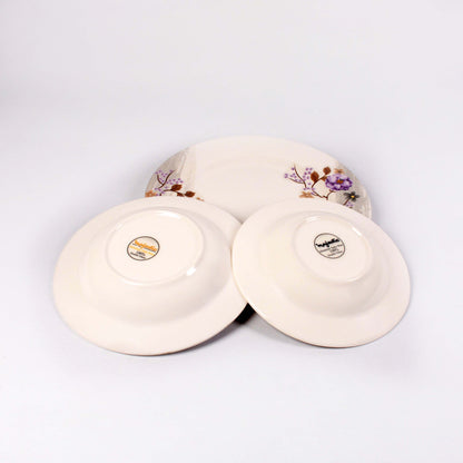 Majestic modesty Dinner Ware 36 Pcs Dinning Set - 6 Persons Serving double glaze DYNASTY CIRCLE Made of BPA-free break resistant melamine