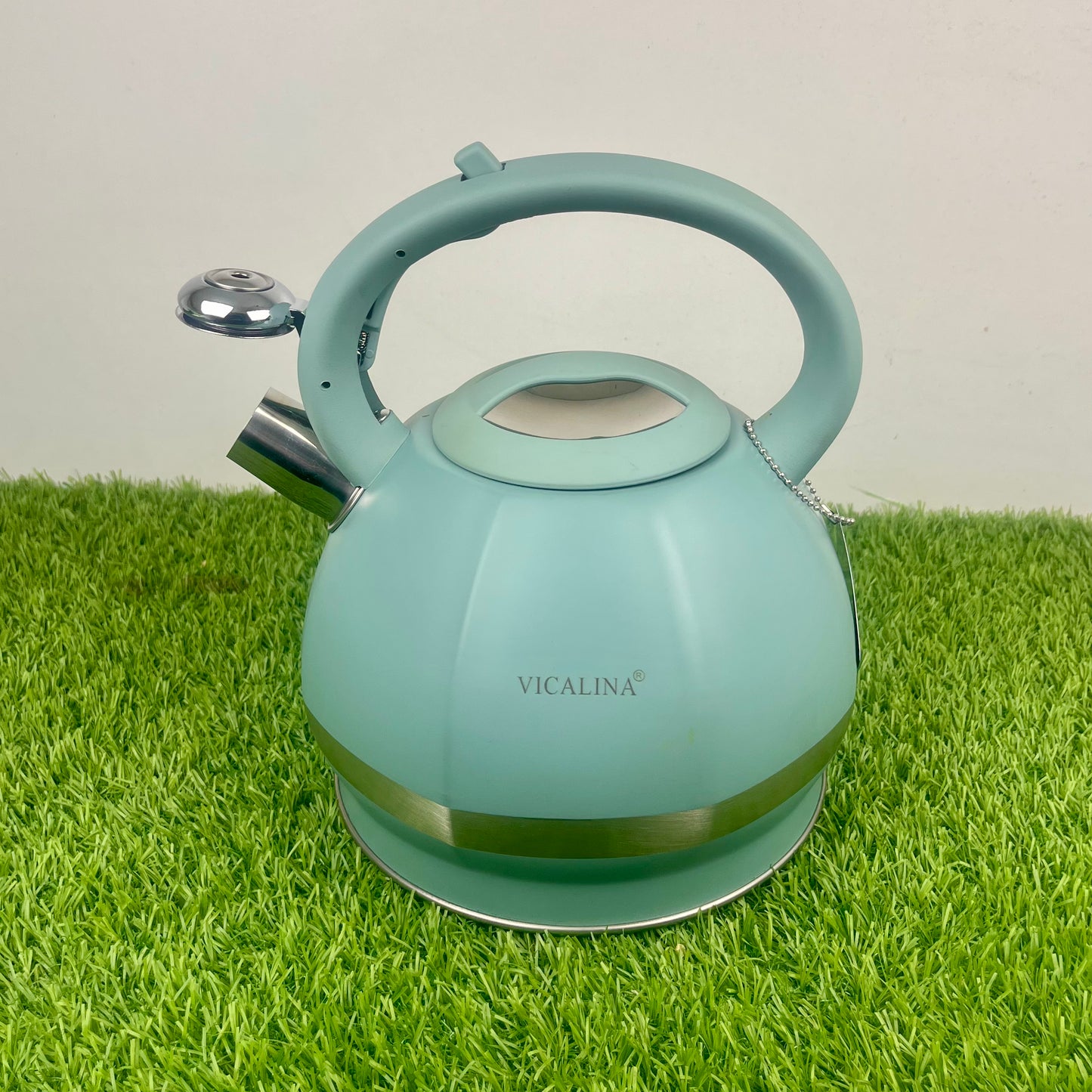 3.5L Stainless Steel Kettle with Unique Matt Green Design