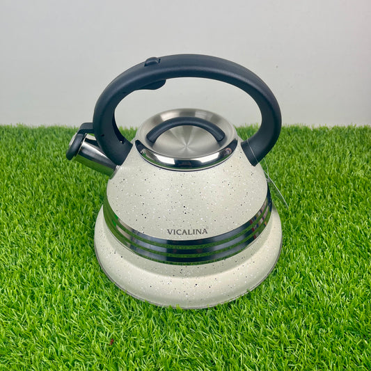 3.5L Stainless Steel Kettle with Unique Marble Coating Design