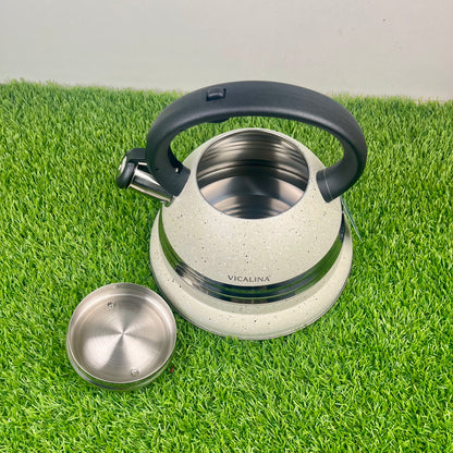 3.5L Stainless Steel Kettle with Unique Marble Coating Design