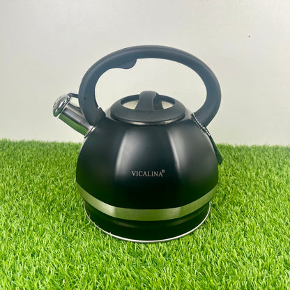 3.5L Stainless Steel Kettle with Unique Matt black Design