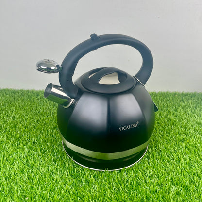3.5L Stainless Steel Kettle with Unique Matt black Design