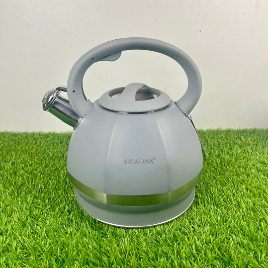 3.5L Stainless Steel Kettle with Unique Matt Gray Design