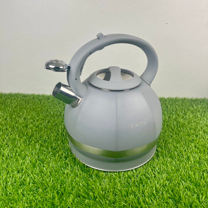 3.5L Stainless Steel Kettle with Unique Matt Gray Design